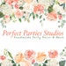 PerfectPartiesStudio