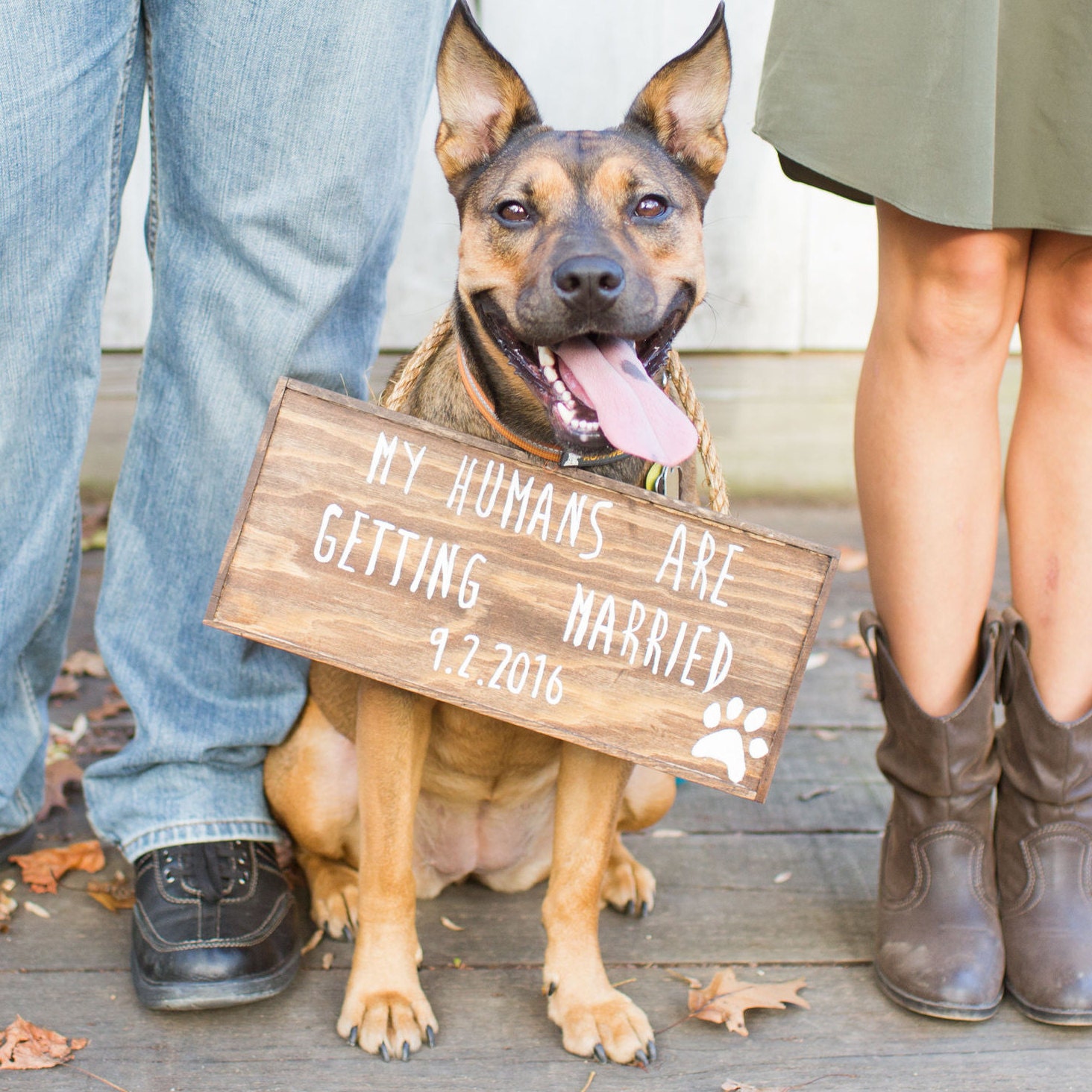 Washington DC; Kayaks; Rainbow; Colorful; Dock; Potomac; River