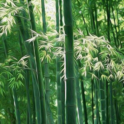 Mid 20th-Century Chinese Split Bamboo & Plaited Leaf Dǒulì (斗笠) Aka Conical Hats - a Pair