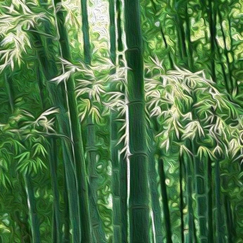 Mid 20th-Century Chinese Split Bamboo & Plaited Leaf Dǒulì (斗笠) Aka Conical  Hats - a Pair