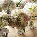 Owner of <a href='https://www.etsy.com/shop/HydrangeasLover?ref=l2-about-shopname' class='wt-text-link'>HydrangeasLover</a>