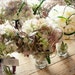 Owner of <a href='https://www.etsy.com/nz/shop/HydrangeasLover?ref=l2-about-shopname' class='wt-text-link'>HydrangeasLover</a>