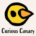 Curious Canary