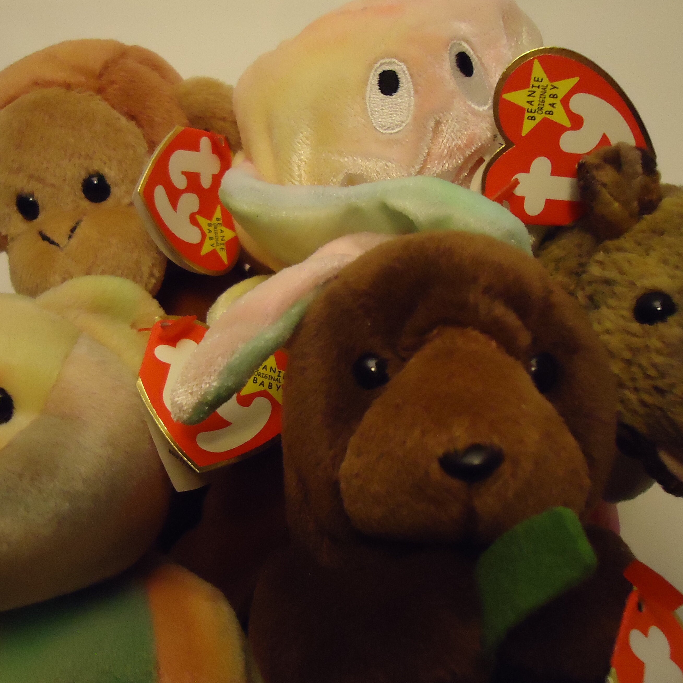 BeanieBabyVault Etsy