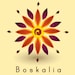 Boskalia Artesanos