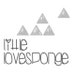 littlelovesponge