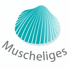 Muscheliges