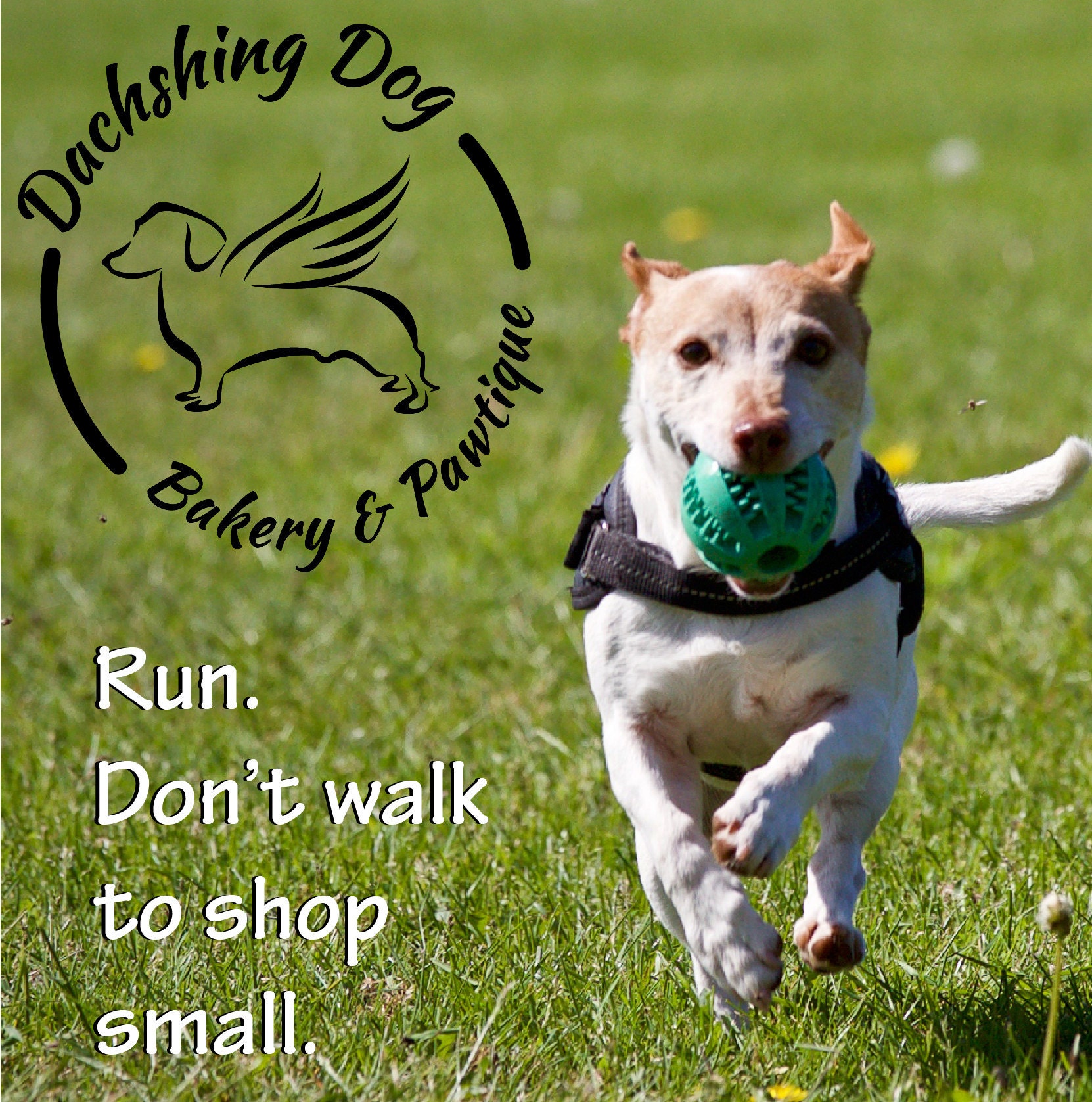 Bébé Cadeau Chien Chien Amoureux Bébé Cadeau Vêtements Bébé | Etsy France