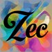 ZECworkshop store logo