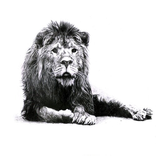 Petit Singe De Petite Fille Dessin Realiste Crayon Sur Etsy