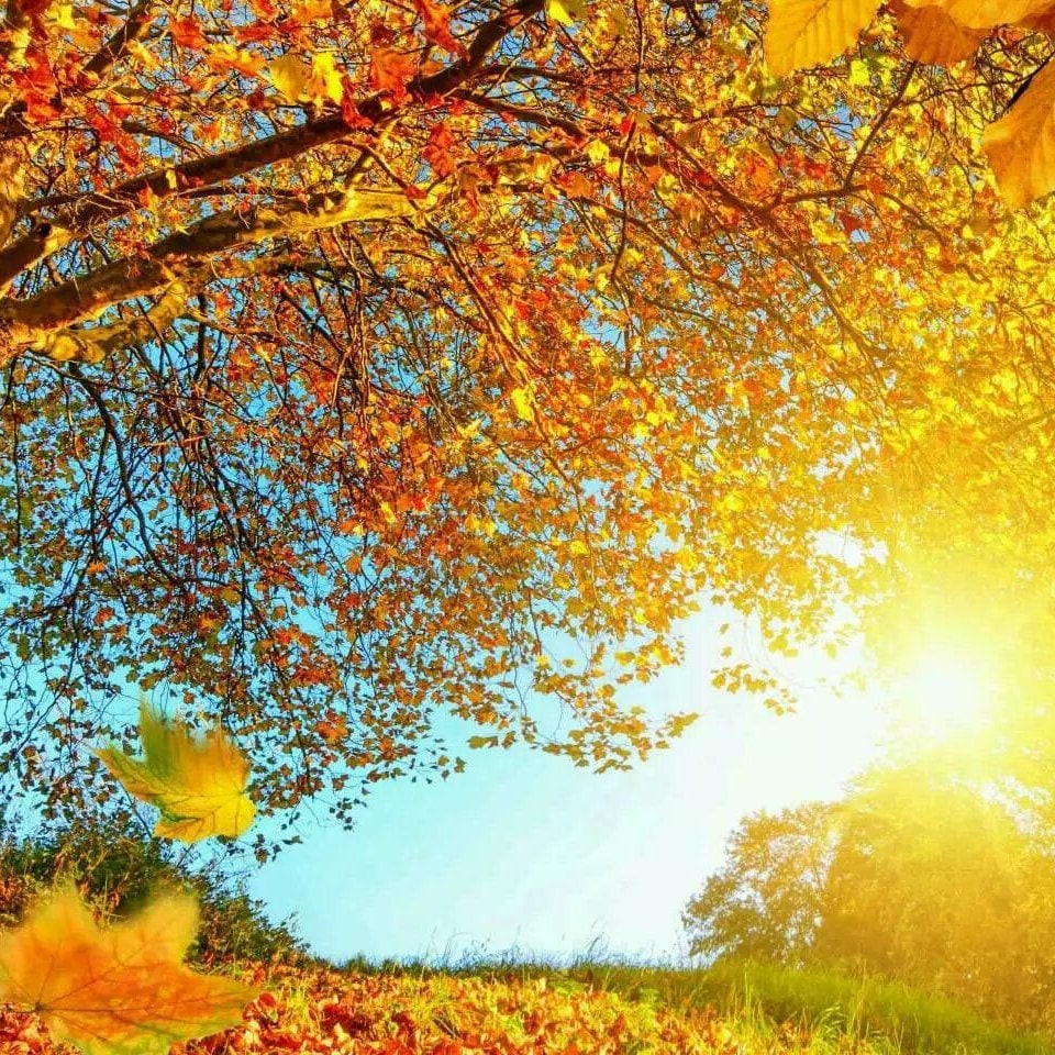 The Milkmaid Johannes Vermeer Hand Painted Oil Painting Etsy