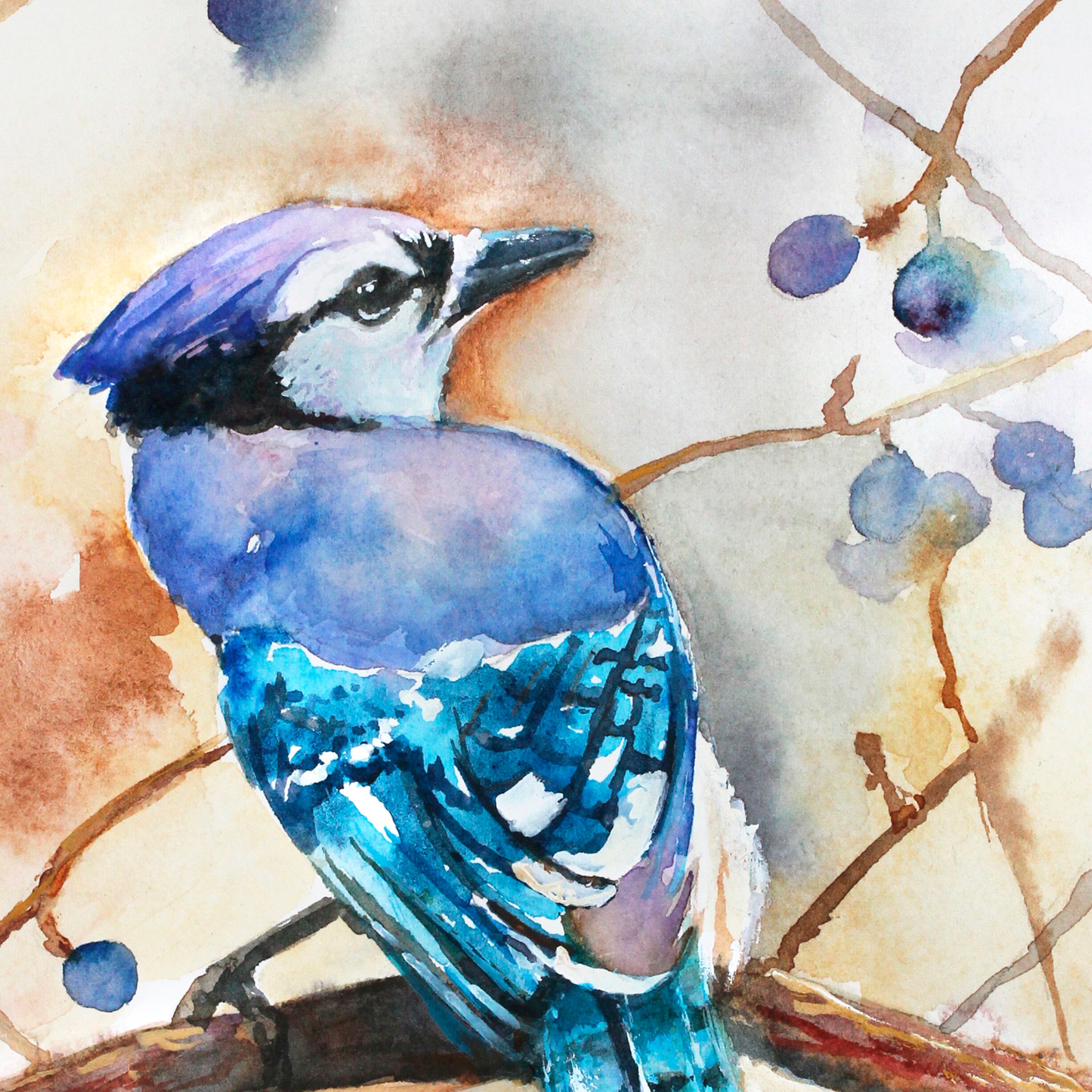 Download Boxed Notecards Set Watercolor Flowers Autumn Card Set Bird Etsy