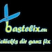 bastelix.eu