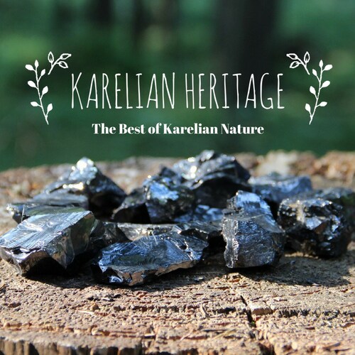 Best Shungite Jewelry Set Pendant Bracelet Earrings S116 Karelian Heritage