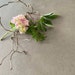 Dagmar Latz