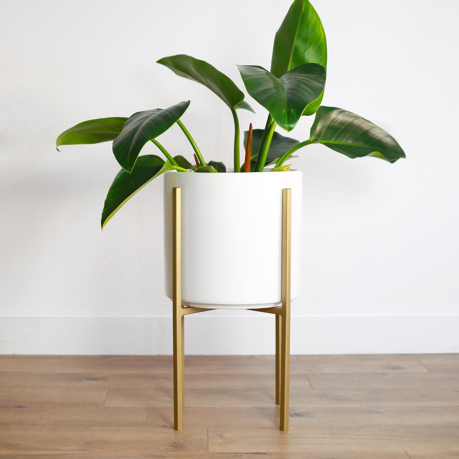 Medium Mid Century Modern Planter With Gold Metal Stand 10 Medium Mid Century Modern Planter With Gold Metal Stand 10