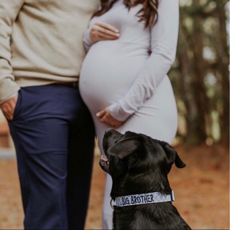 Big Sister Custom Dog CollarLIGHT PINK QUATREFOIL Baby Etsy