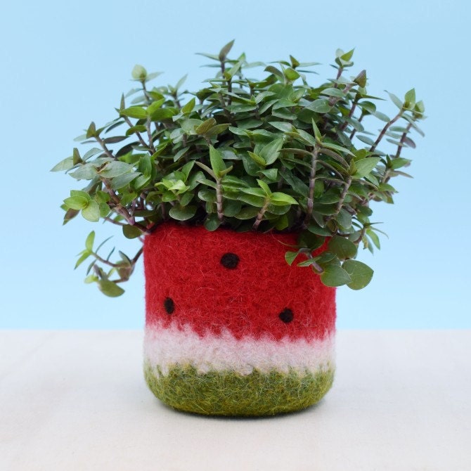 Red Watermelon Vase Coworker Gift Felt Succulent Planter Etsy