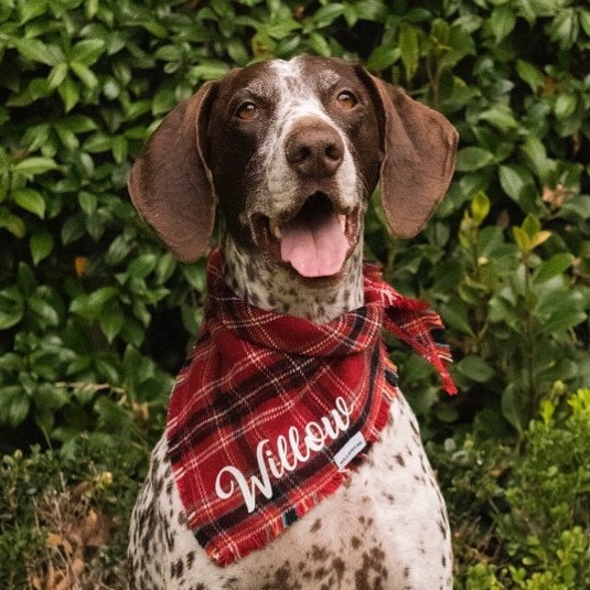 Dog Bandana Personalized Fall Plaid Dog Bandana with Name Etsy