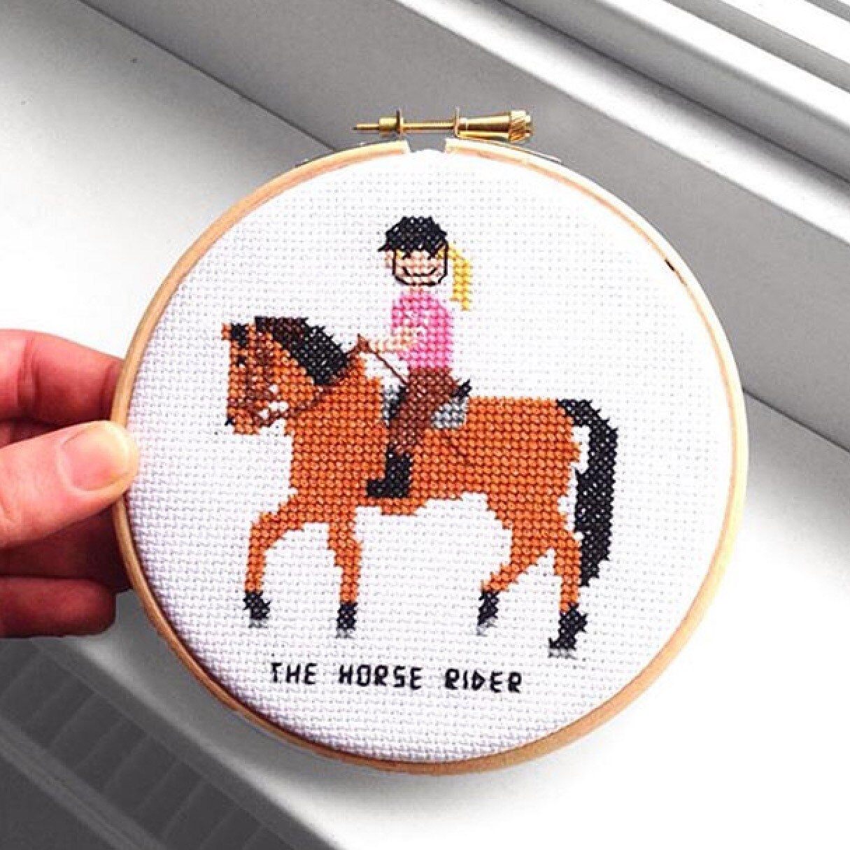 Cross Stitch Kit Veterinarian. Gift for animal lover. DIY New