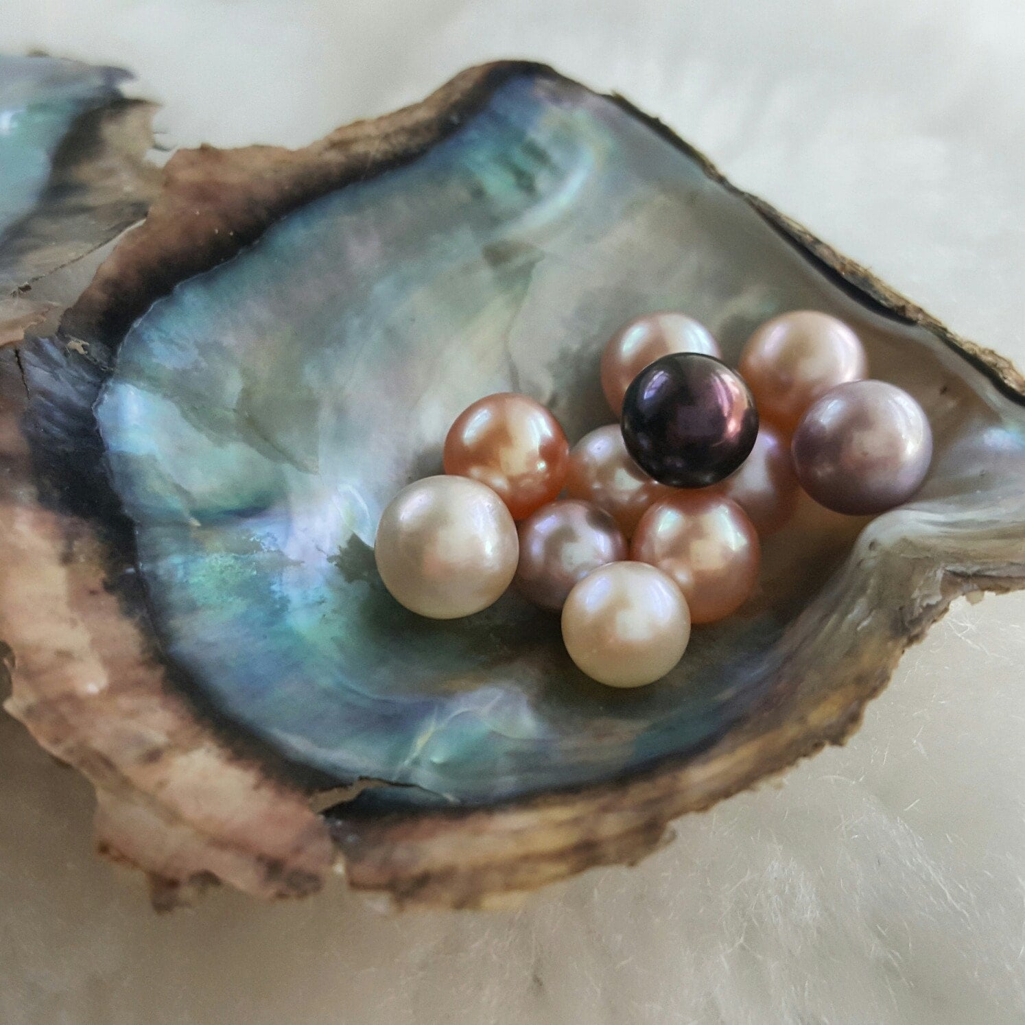 Pearl in Oyster Dream Interpretation