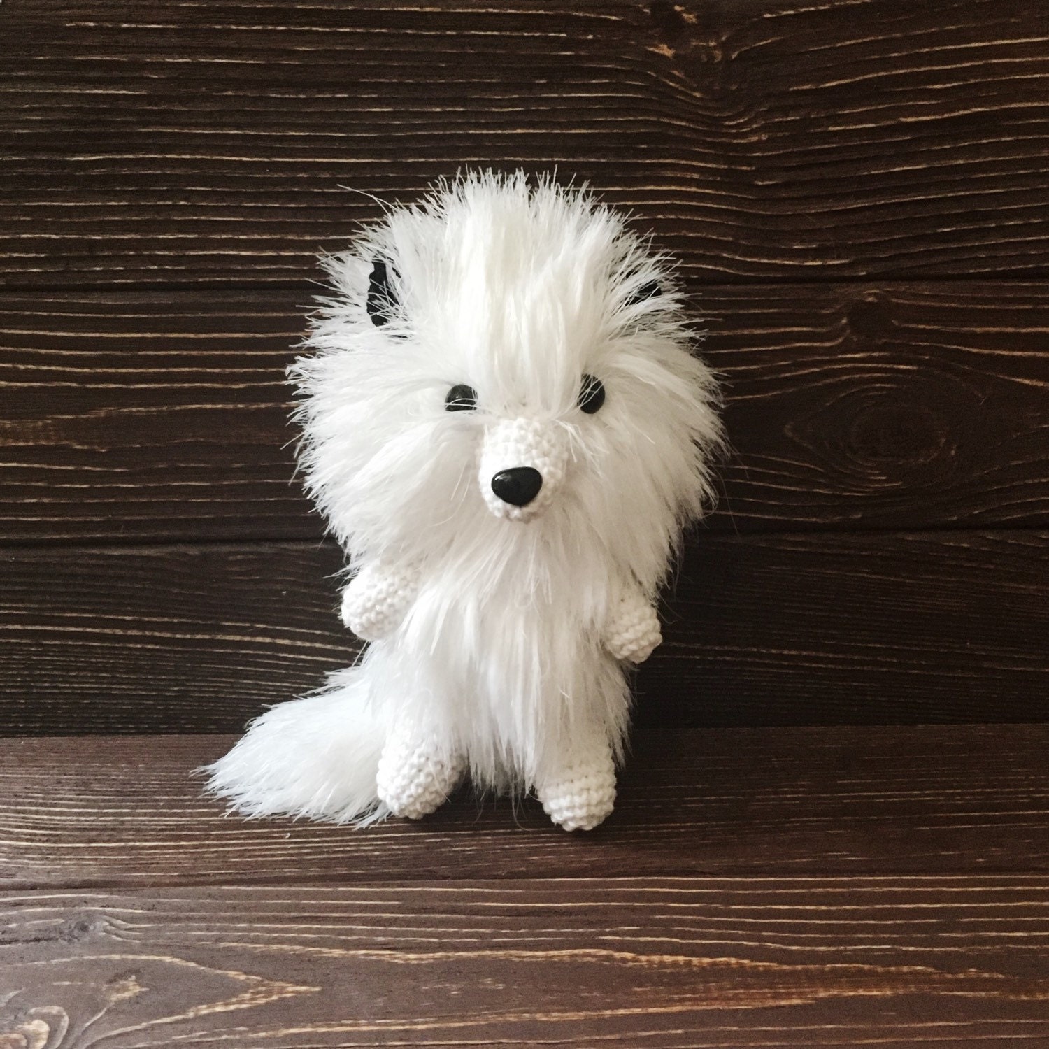 white fox puppy
