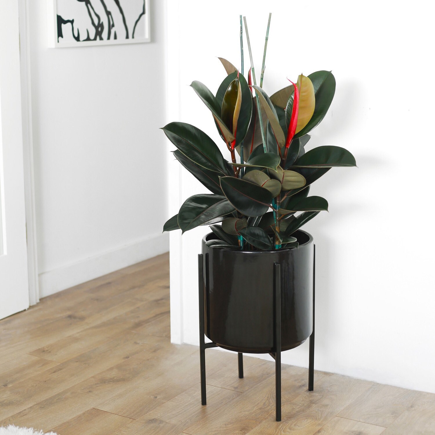Large Mid Century Modern Ceramic Cylinder Planter Set With Black Metal Large Mid Century Modern Ceramic Cylinder Planter Set With Black Metal