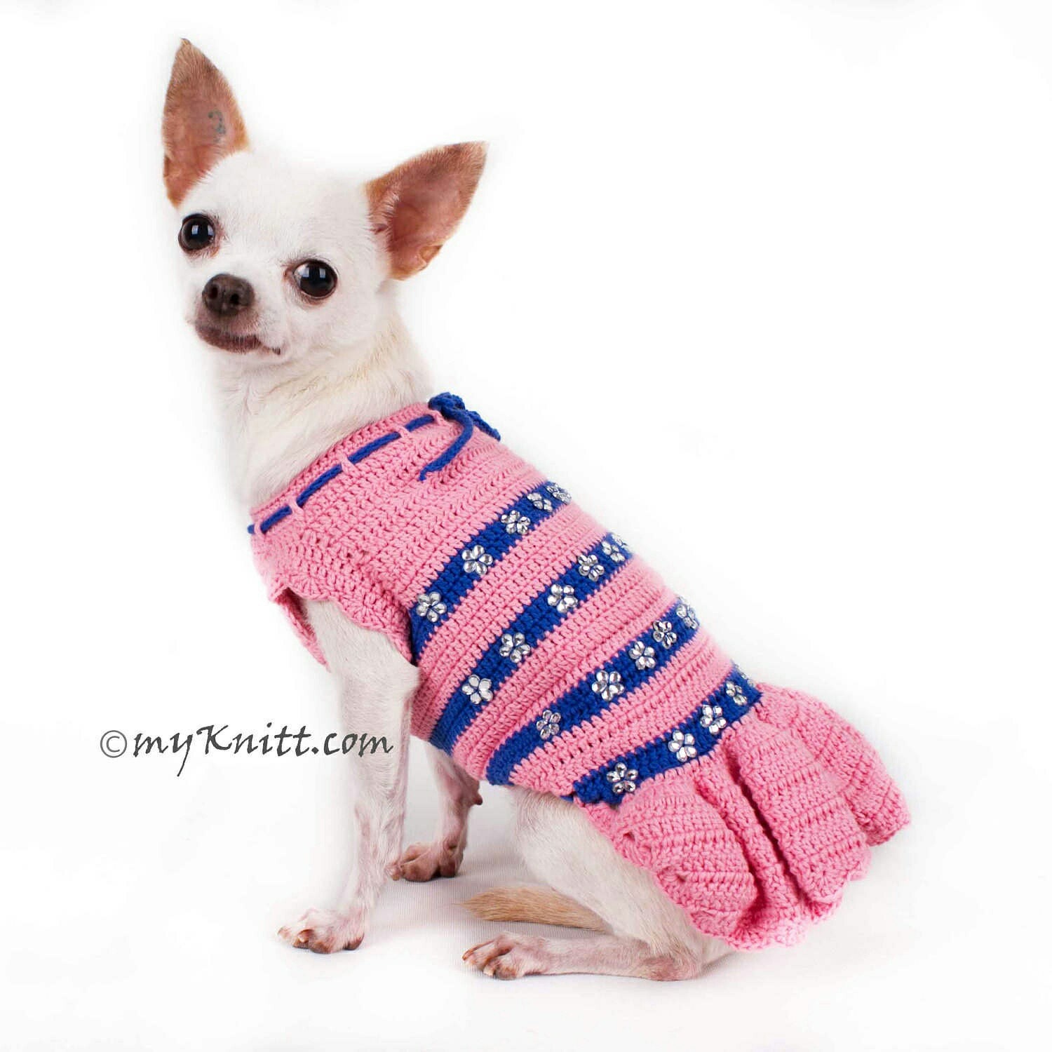 unique dog clothes