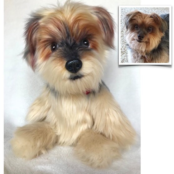 Updates from originalsockdogs on Etsy