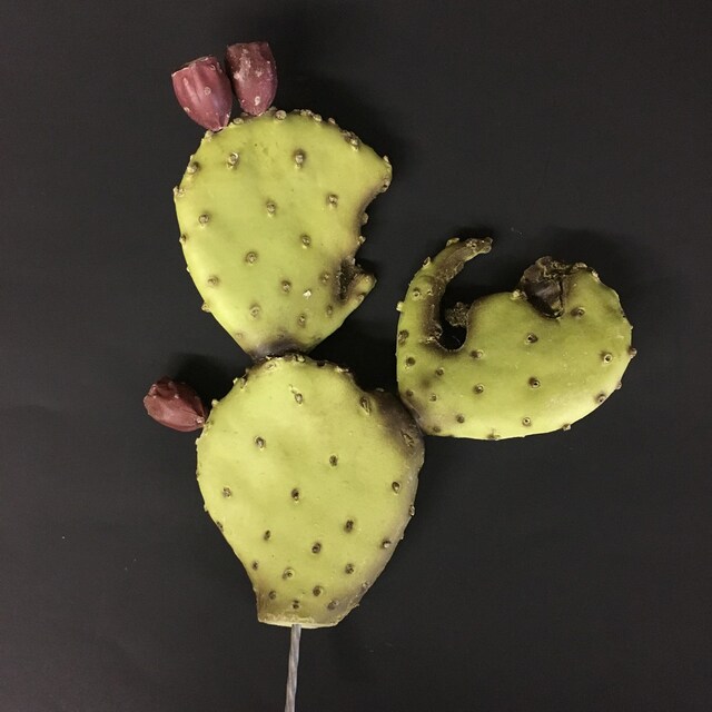 Artificial prickly pear cactus by TucsonSue on Etsy