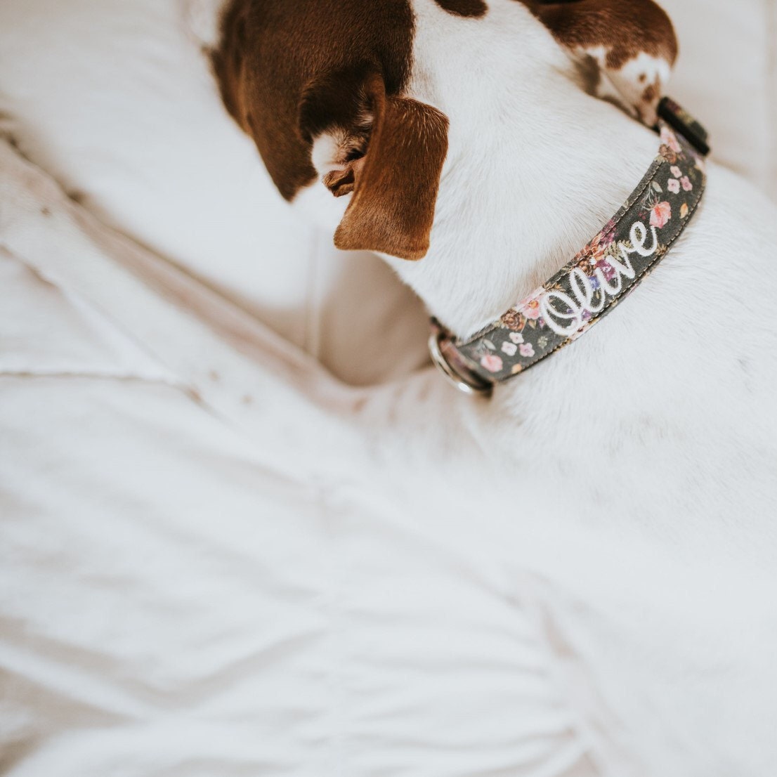 Dog Collar Personalized Dog Collar Personalized Dog Collar Etsy