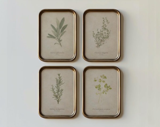 BOTANICAL / HERBARIUM