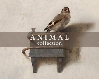 ANIMALS