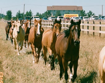 Western