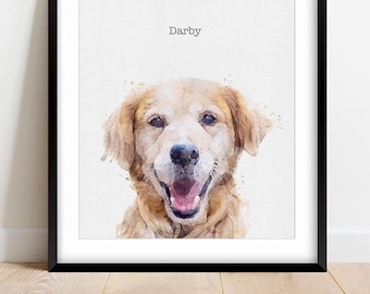 Pet + Family Portraits