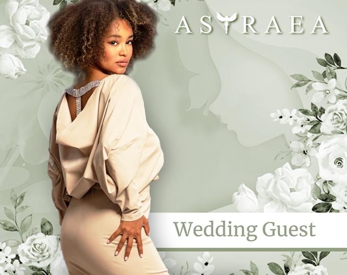 Wedding Guest Dresses