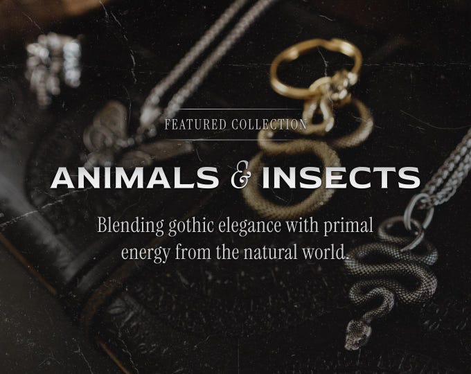 Animals & Insects