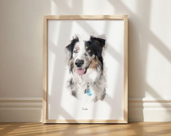 Pet & Family Portraits