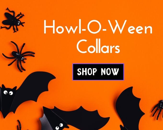 Halloween Dog Collars
