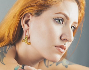Ear Weights