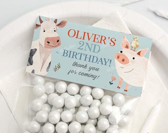 Birthday Decor
