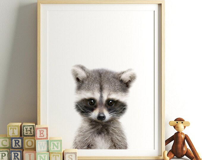 Baby Animals | White