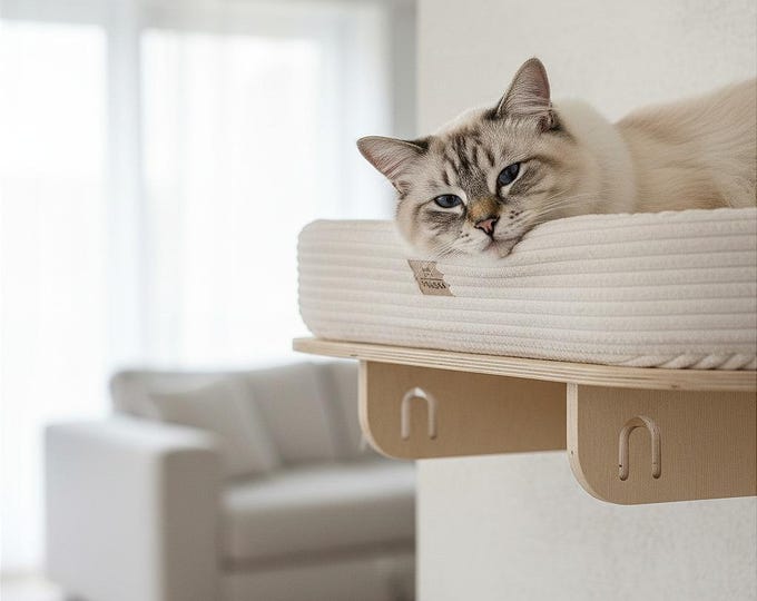 Cat wall shelves