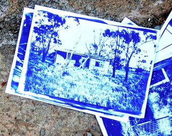 Cyanotype Artwork