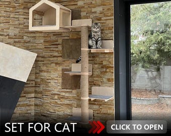 SET for CAT