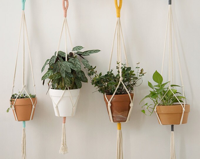 Macrame Plant Hanger