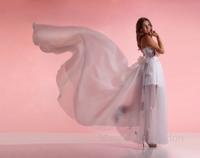 Detachable Train/Skirt