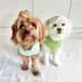LottieandLulucrochet