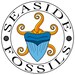 Seaside Fossils
