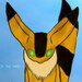 Buyer Avatar